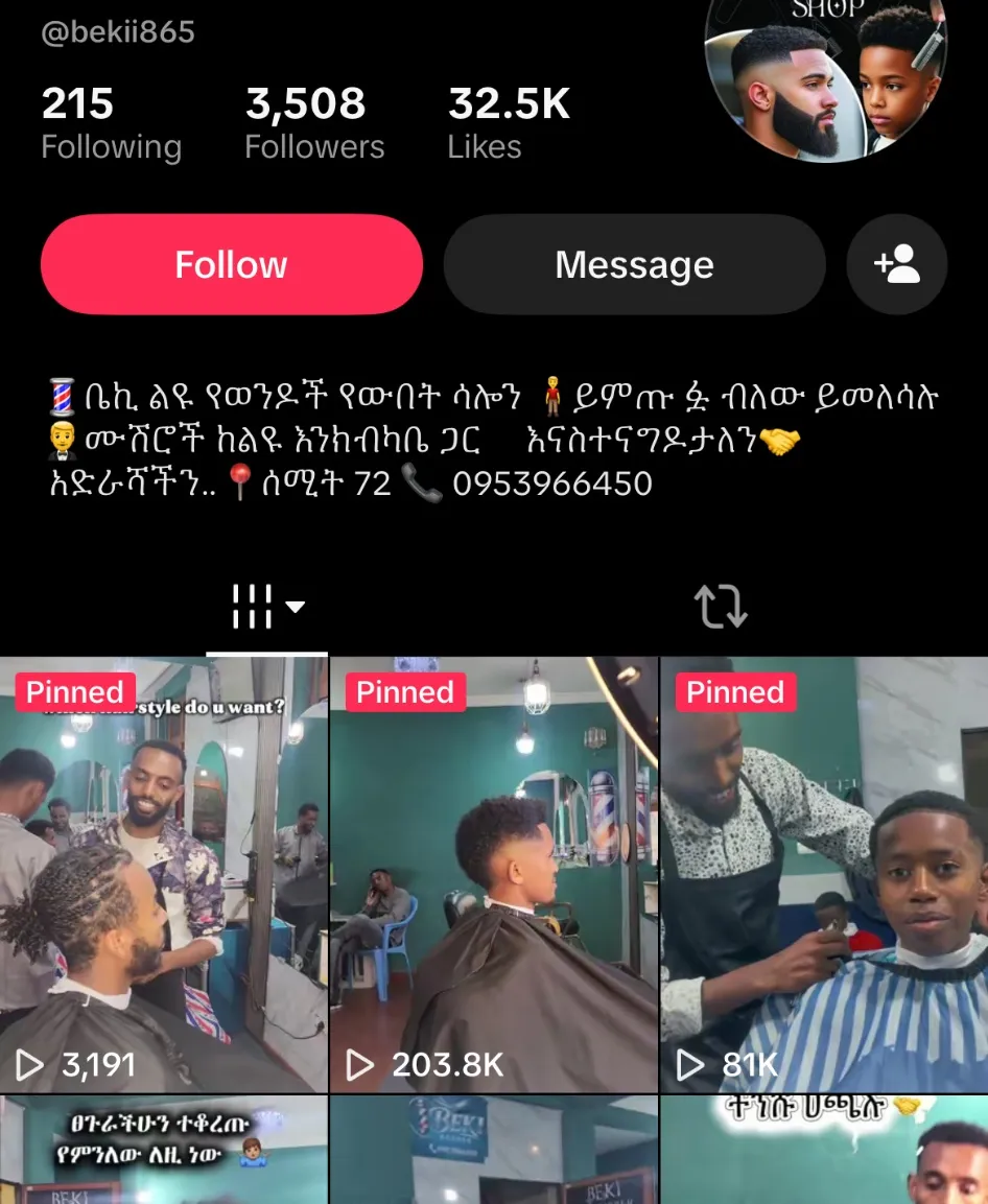 The Beki Barber TikTok profile, showing 3,508 followers, 32.5K likes and videos with 203.8K and 81K views.