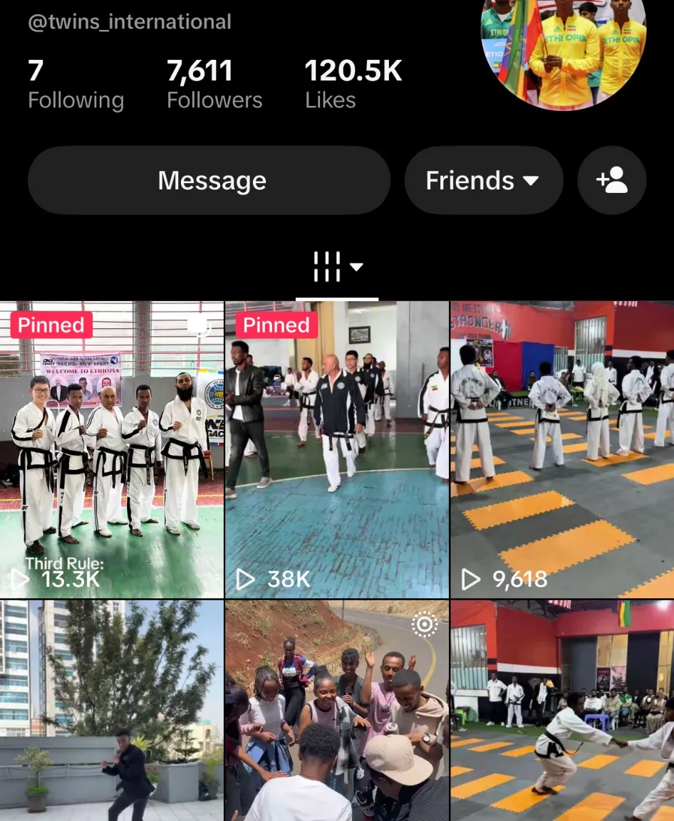 The Twins International TikTok profile, showing 7,611 followers, 120.5K likes and a grid of Taekwondo training videos.