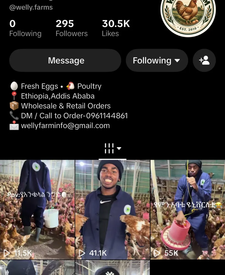 The Welly Farms TikTok profile, showing 295 followers, 30.5K likes and videos with 55K and 41.1K views.